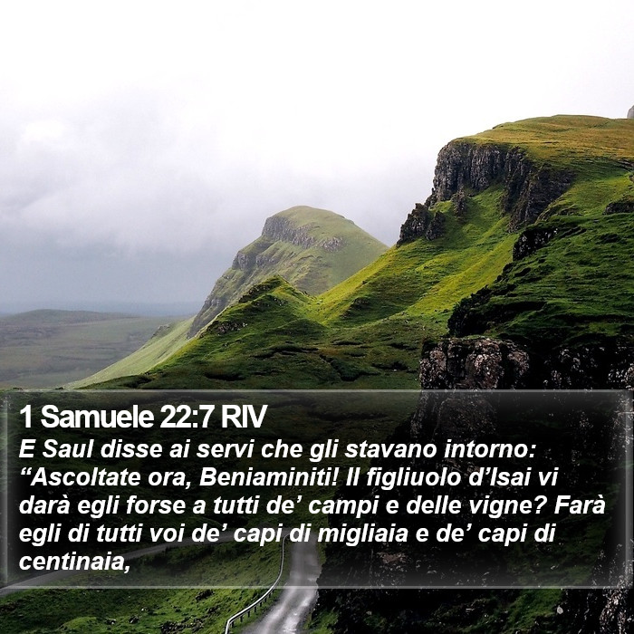 1 Samuele 22:7 RIV Bible Study