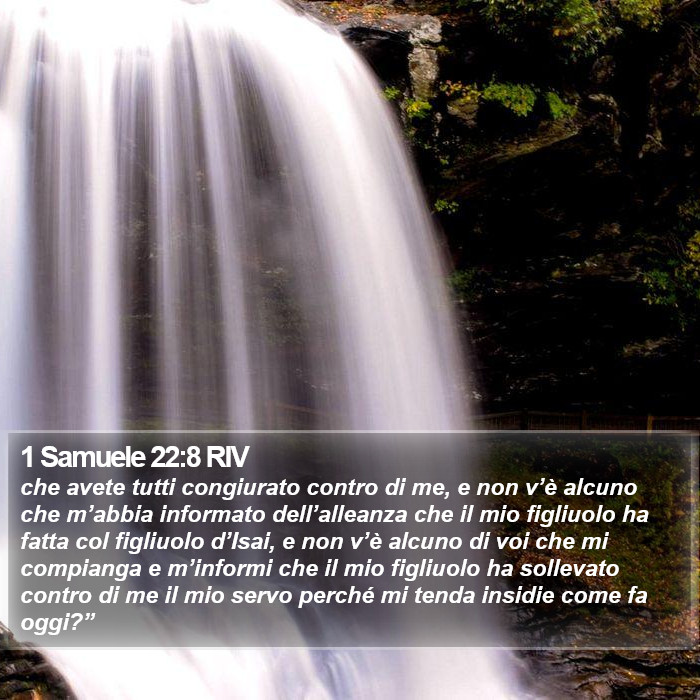 1 Samuele 22:8 RIV Bible Study