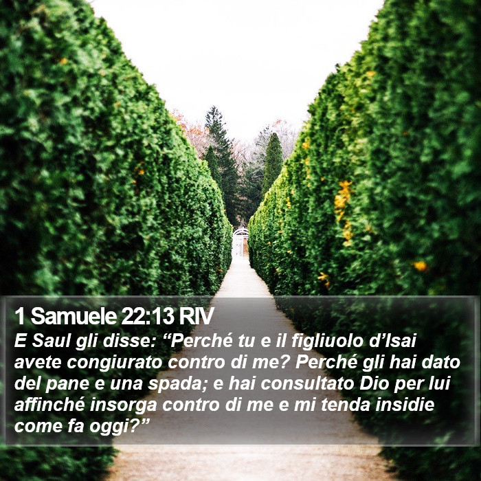 1 Samuele 22:13 RIV Bible Study