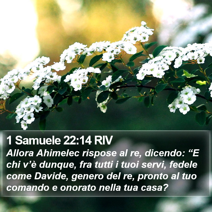 1 Samuele 22:14 RIV Bible Study