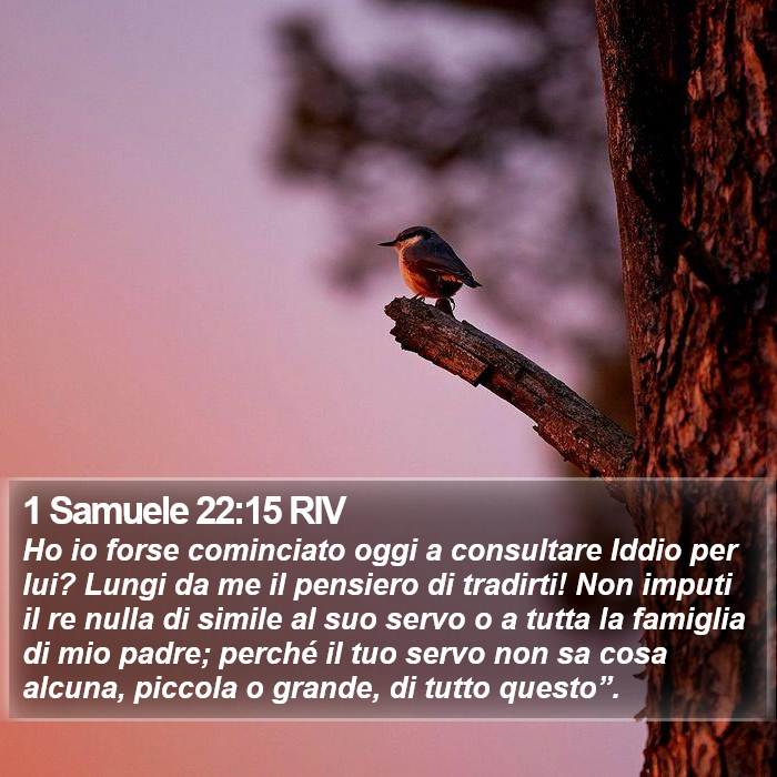 1 Samuele 22:15 RIV Bible Study