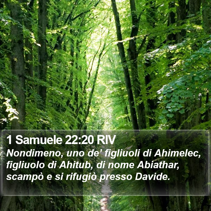 1 Samuele 22:20 RIV Bible Study