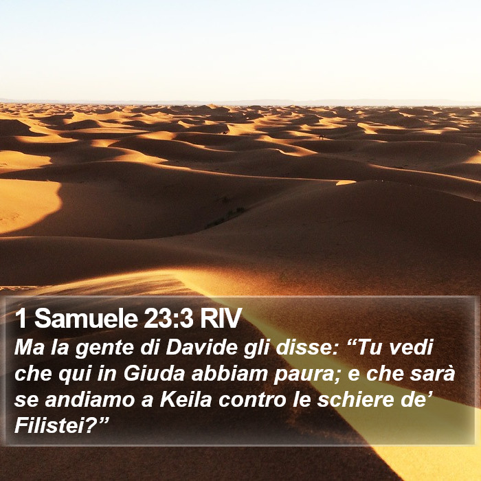 1 Samuele 23:3 RIV Bible Study