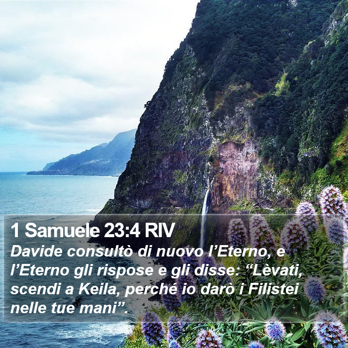 1 Samuele 23:4 RIV Bible Study