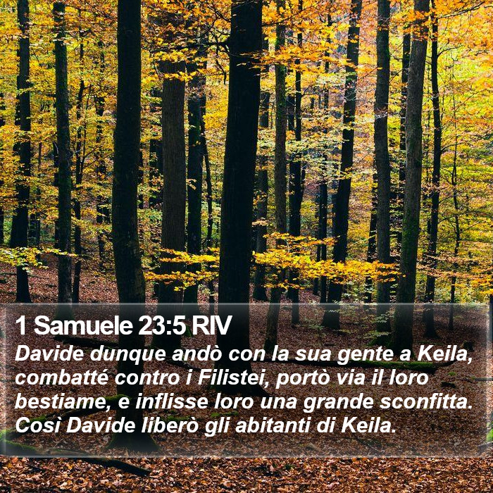 1 Samuele 23:5 RIV Bible Study