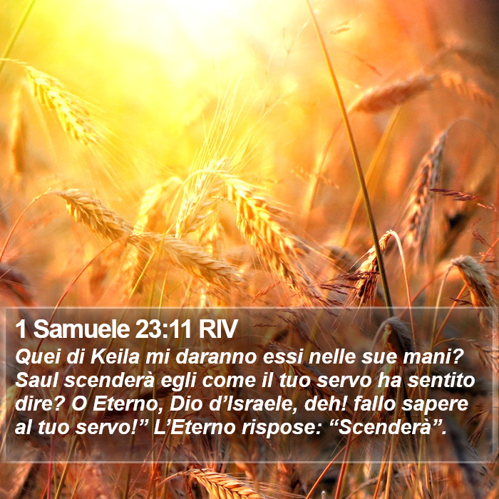 1 Samuele 23:11 RIV Bible Study