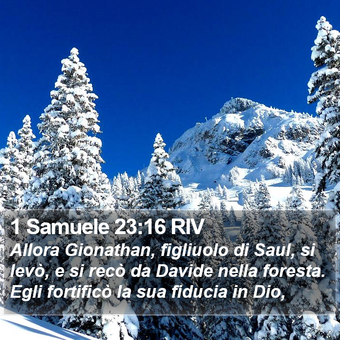 1 Samuele 23:16 RIV Bible Study