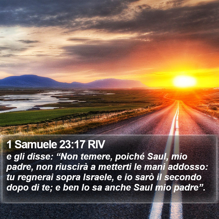 1 Samuele 23:17 RIV Bible Study