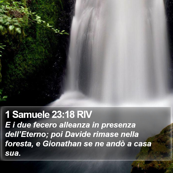 1 Samuele 23:18 RIV Bible Study