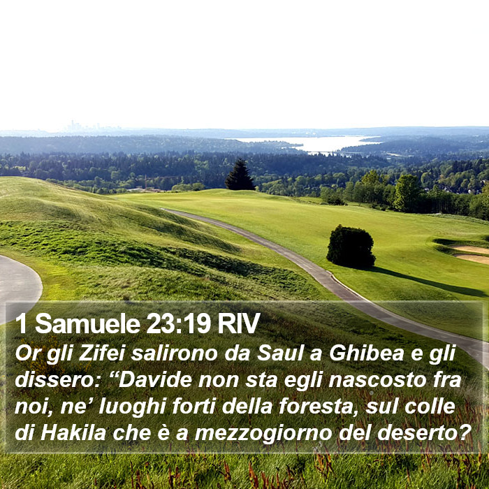 1 Samuele 23:19 RIV Bible Study