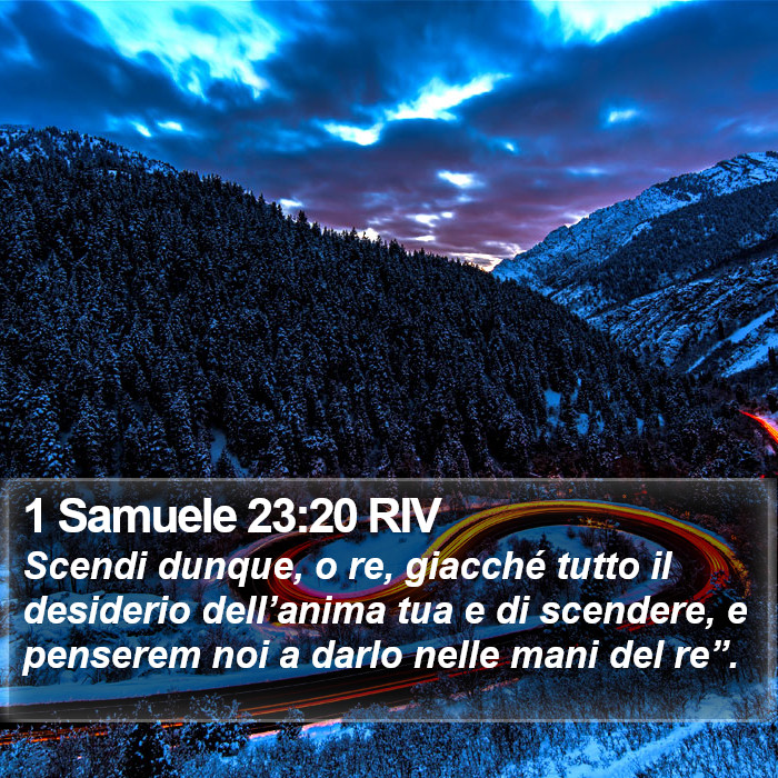 1 Samuele 23:20 RIV Bible Study