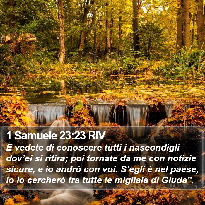 1 Samuele 23:23 RIV Bible Study