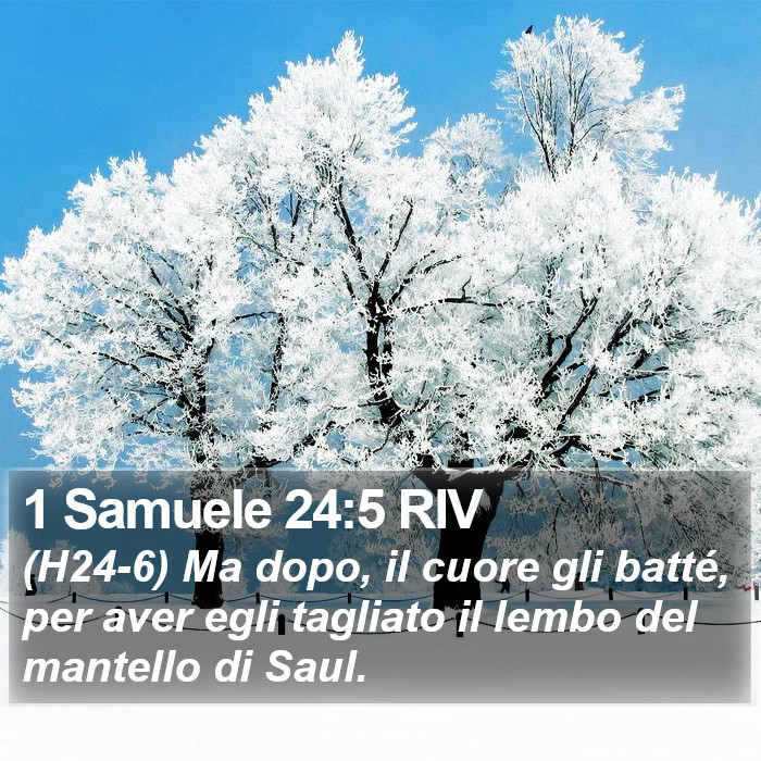 1 Samuele 24:5 RIV Bible Study