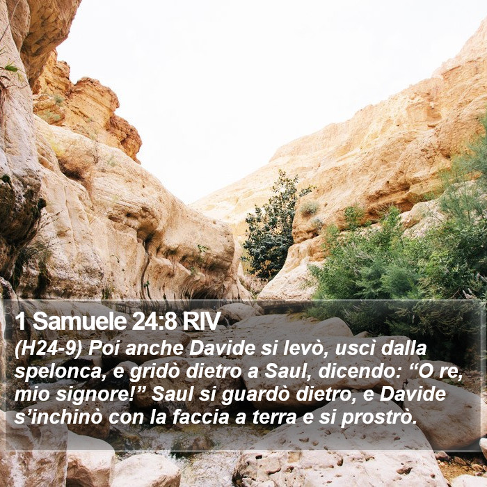 1 Samuele 24:8 RIV Bible Study