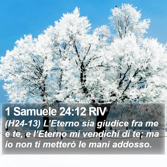 1 Samuele 24:12 RIV Bible Study