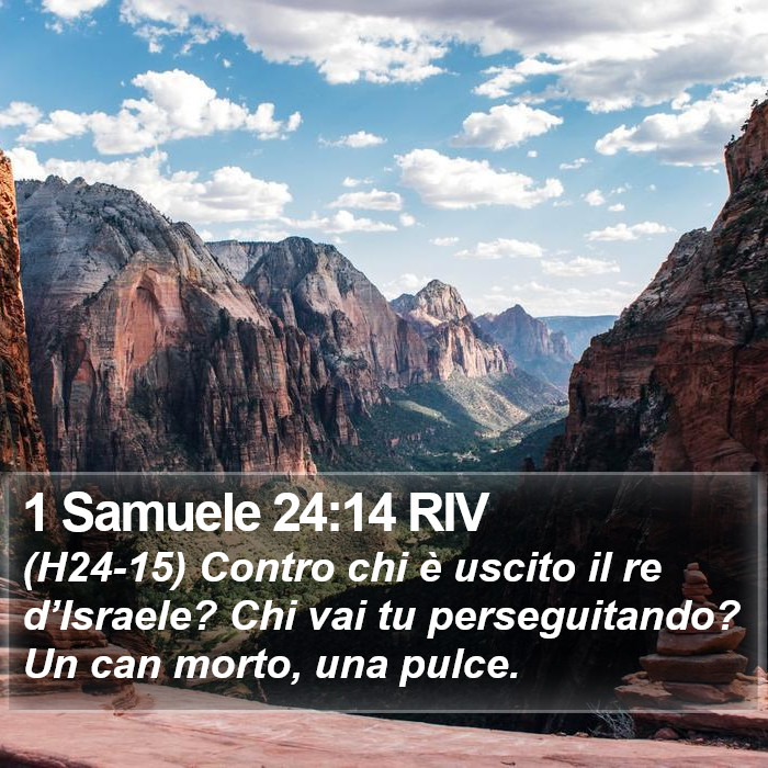 1 Samuele 24:14 RIV Bible Study