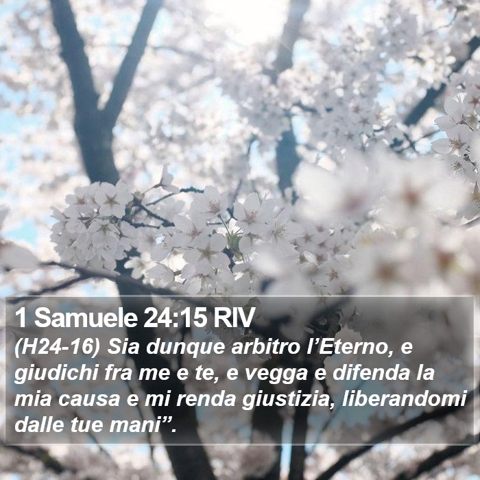 1 Samuele 24:15 RIV Bible Study