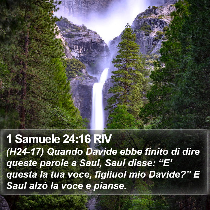 1 Samuele 24:16 RIV Bible Study