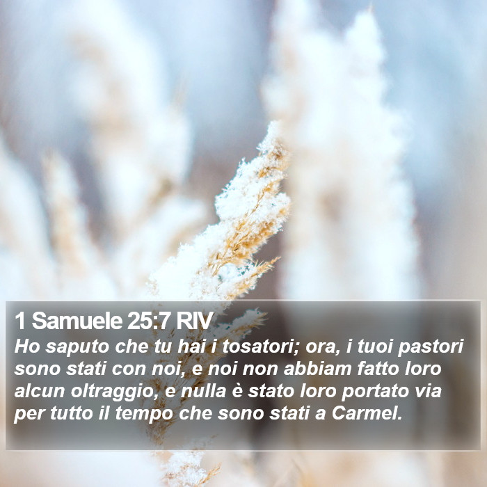 1 Samuele 25:7 RIV Bible Study