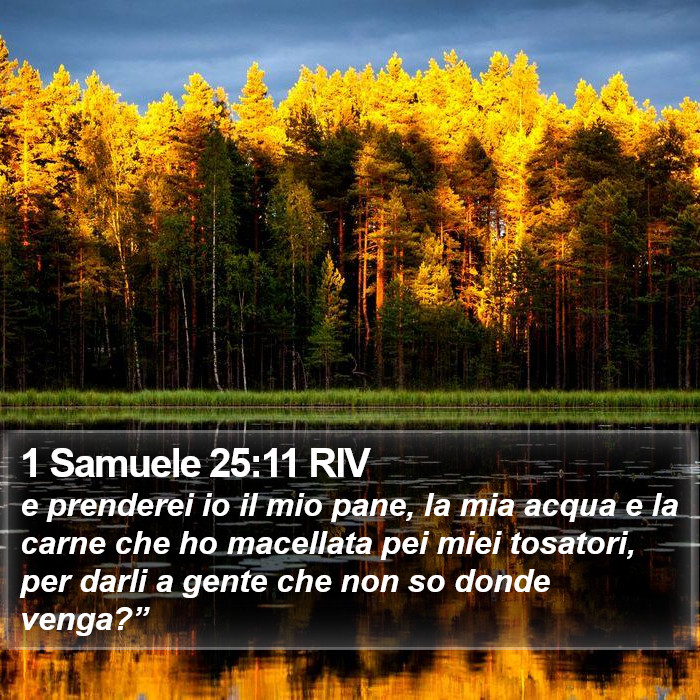 1 Samuele 25:11 RIV Bible Study