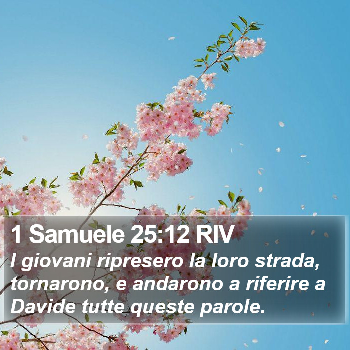 1 Samuele 25:12 RIV Bible Study