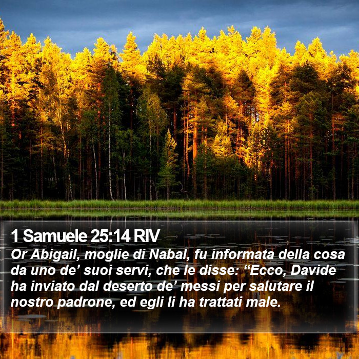 1 Samuele 25:14 RIV Bible Study