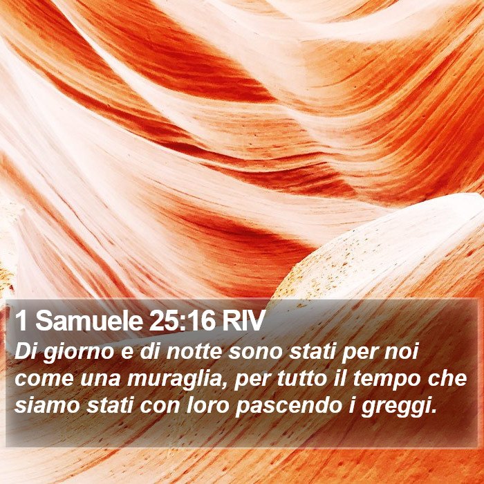 1 Samuele 25:16 RIV Bible Study