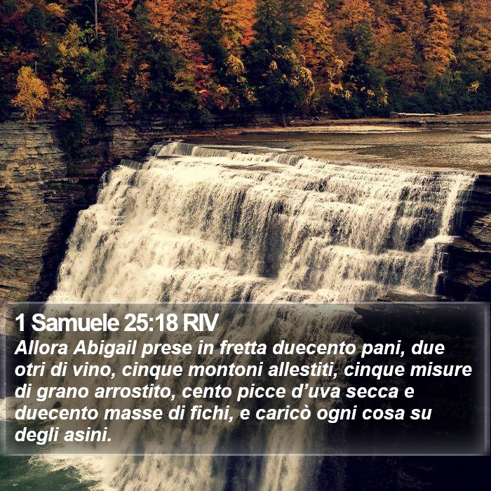 1 Samuele 25:18 RIV Bible Study