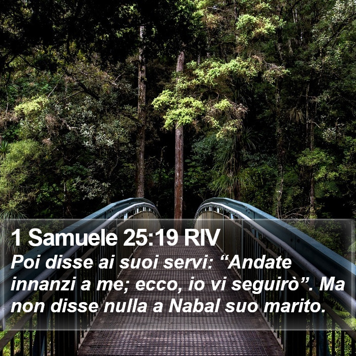 1 Samuele 25:19 RIV Bible Study