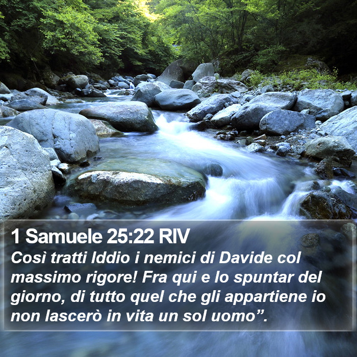 1 Samuele 25:22 RIV Bible Study