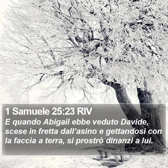 1 Samuele 25:23 RIV Bible Study