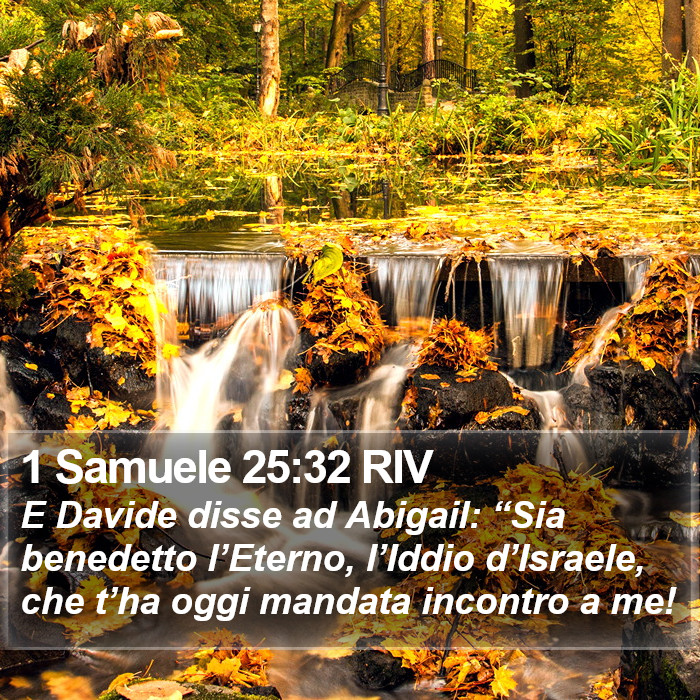 1 Samuele 25:32 RIV Bible Study