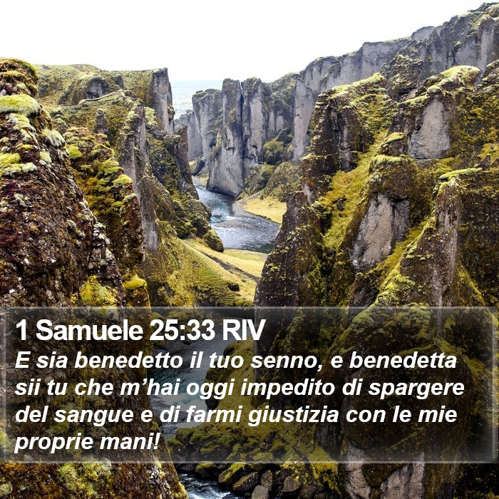 1 Samuele 25:33 RIV Bible Study