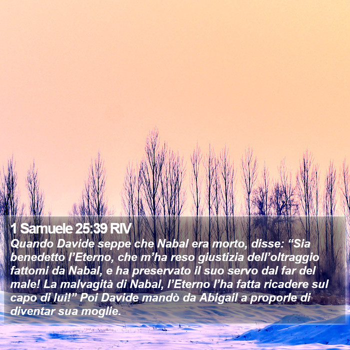 1 Samuele 25:39 RIV Bible Study