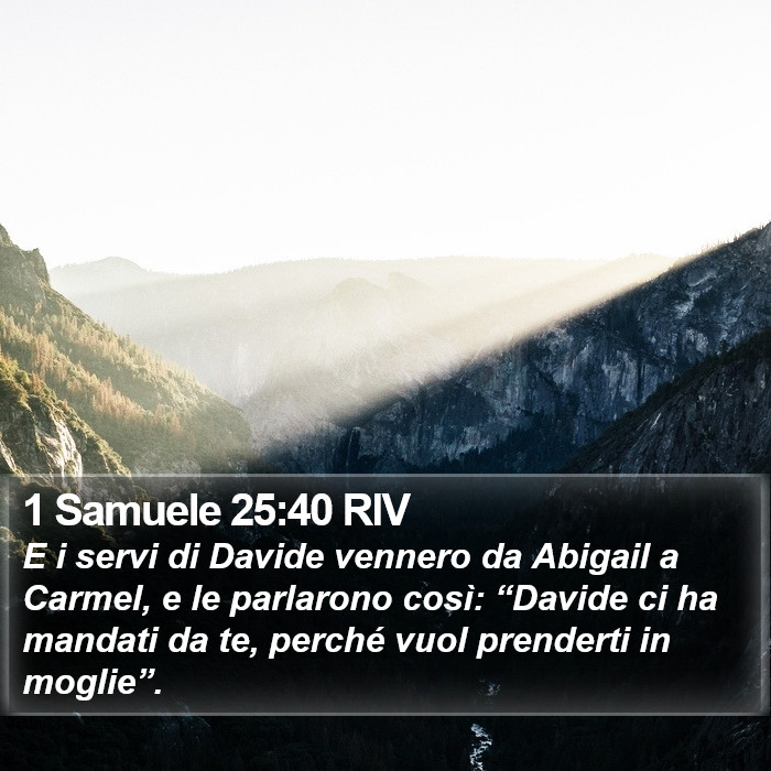 1 Samuele 25:40 RIV Bible Study