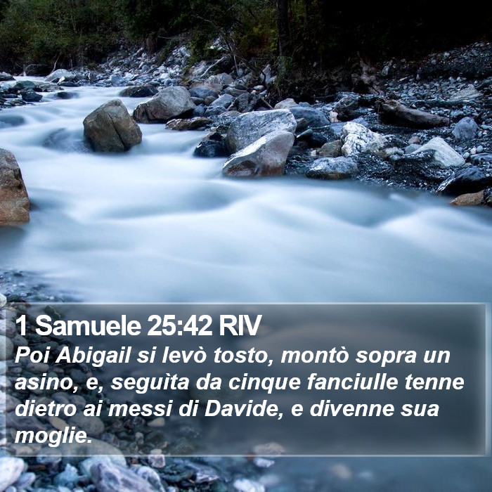 1 Samuele 25:42 RIV Bible Study