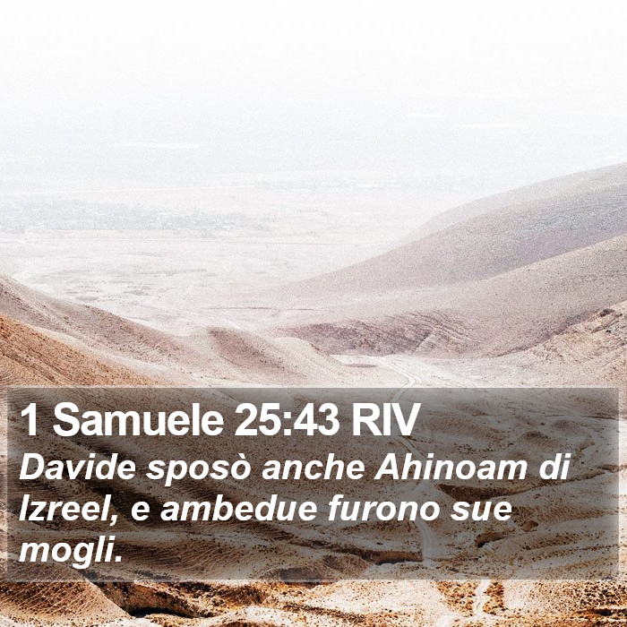 1 Samuele 25:43 RIV Bible Study