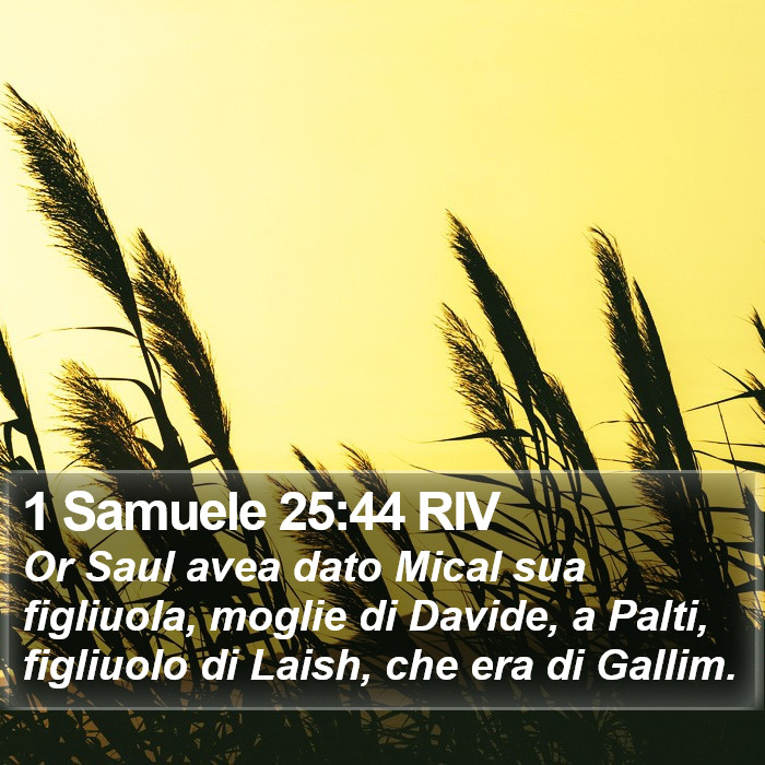 1 Samuele 25:44 RIV Bible Study