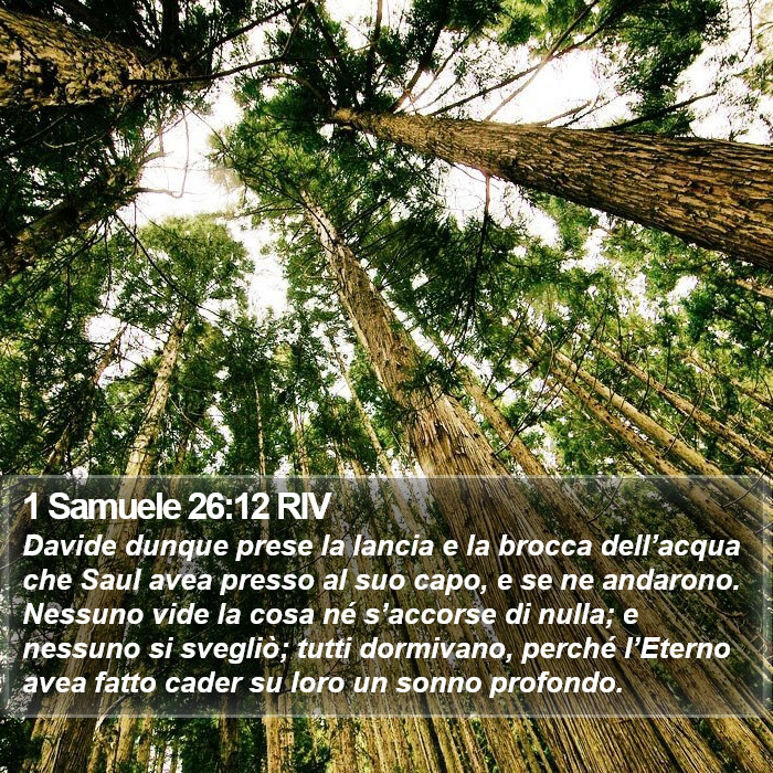 1 Samuele 26:12 RIV Bible Study