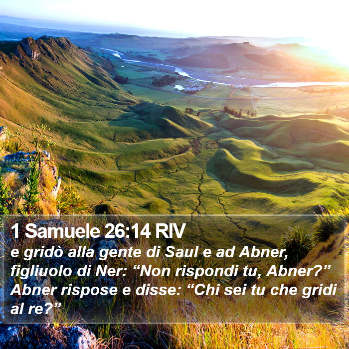 1 Samuele 26:14 RIV Bible Study