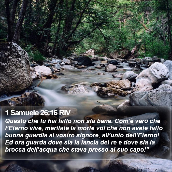 1 Samuele 26:16 RIV Bible Study