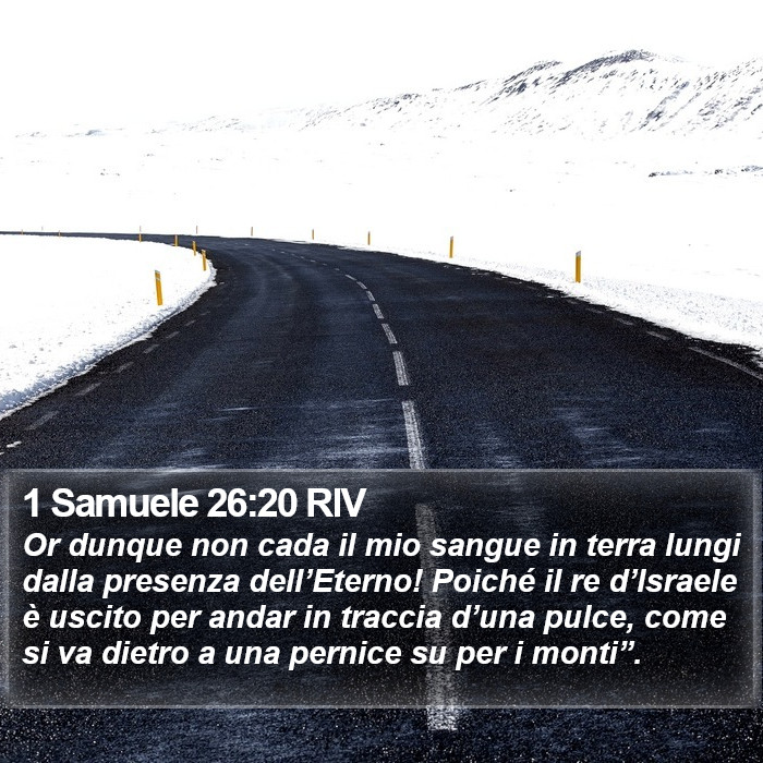 1 Samuele 26:20 RIV Bible Study