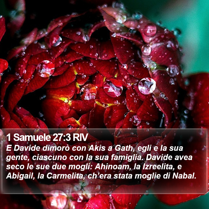 1 Samuele 27:3 RIV Bible Study