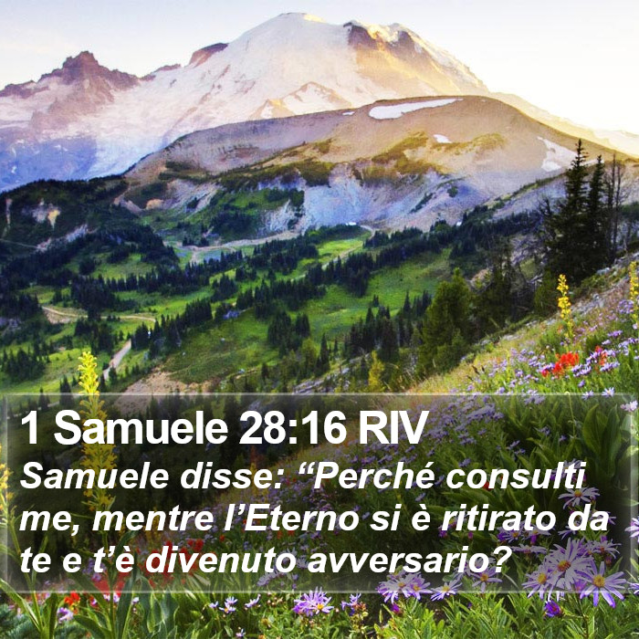 1 Samuele 28:16 RIV Bible Study