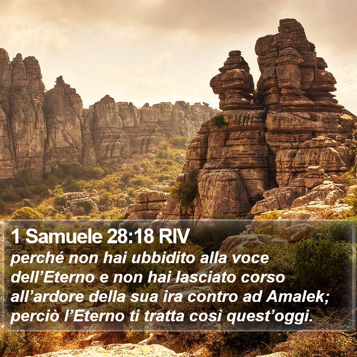 1 Samuele 28:18 RIV Bible Study