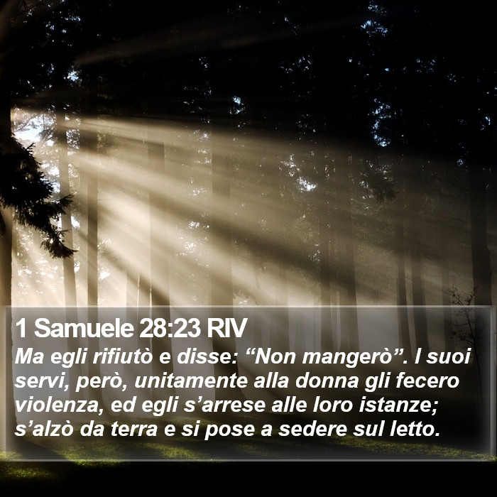 1 Samuele 28:23 RIV Bible Study