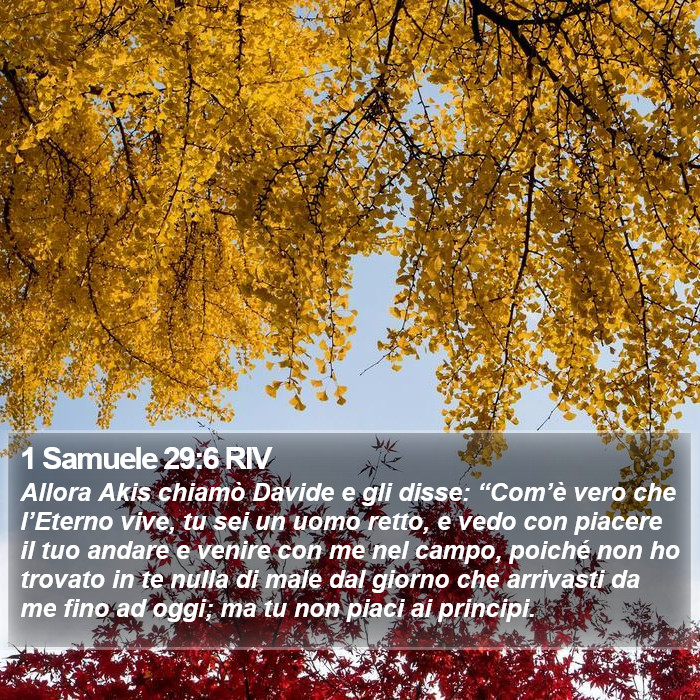 1 Samuele 29:6 RIV Bible Study