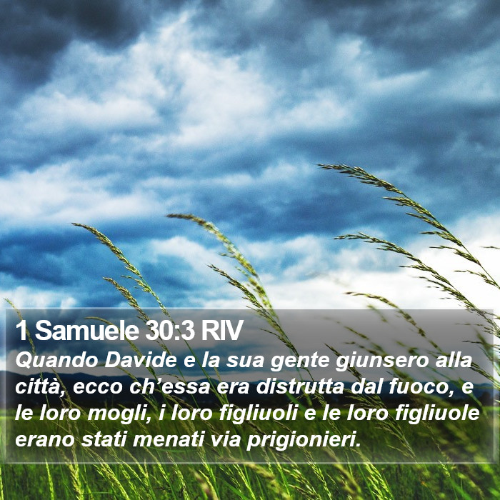 1 Samuele 30:3 RIV Bible Study