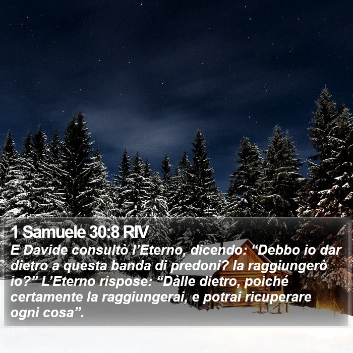 1 Samuele 30:8 RIV Bible Study