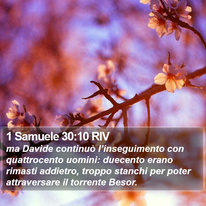 1 Samuele 30:10 RIV Bible Study